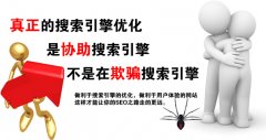 整站优化【按效果付费】
