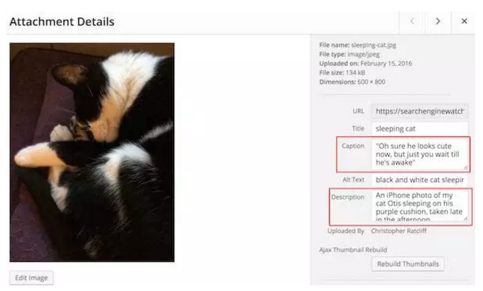 外贸自建站如何做好图片的SEO优化,一图胜过千言